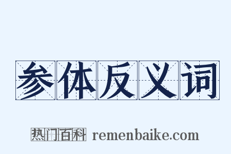 参体反义词是什么意思的图片